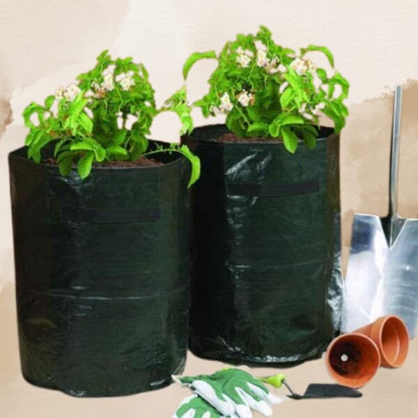 Bio Pliant By S S Industries | Compostable | Biodegradable | Eco Friendly Nursery Bags | Plantation Bags